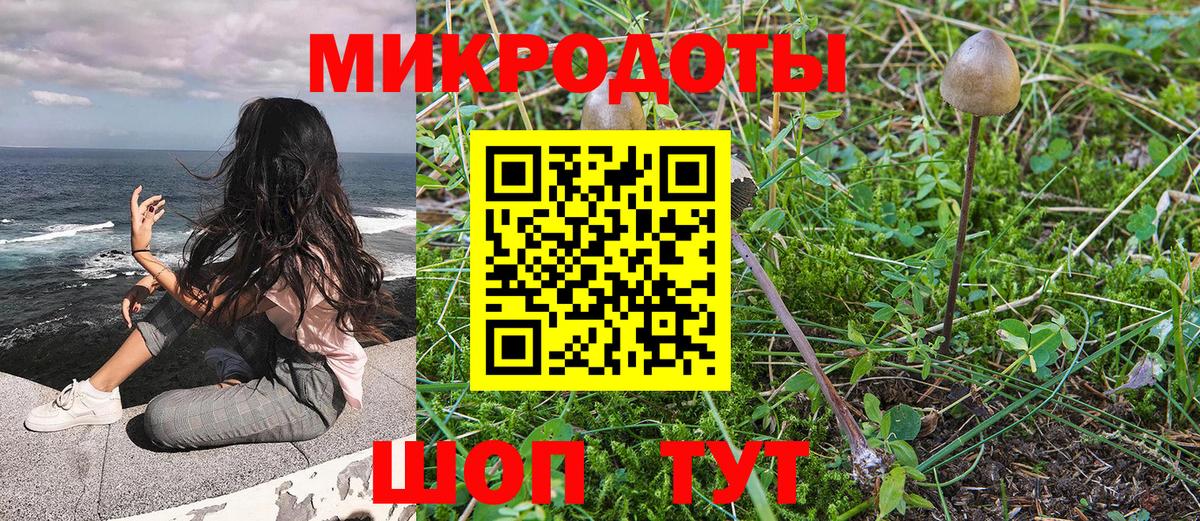 Ярцево  Псилоцибиновые грибы Cubensis  Вход с VPN 