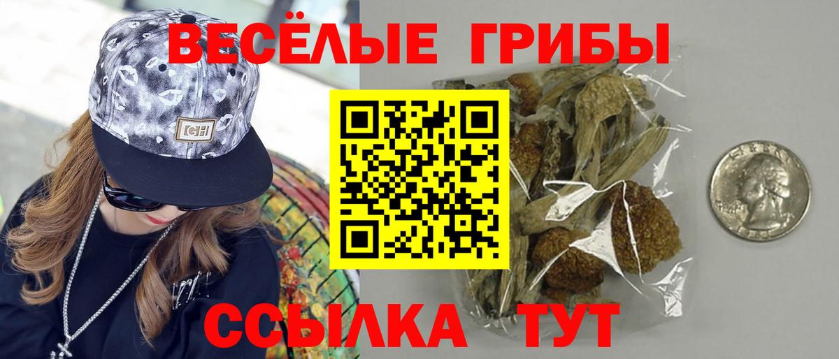 Галлюциногенные грибы Magic Shrooms Ярцево